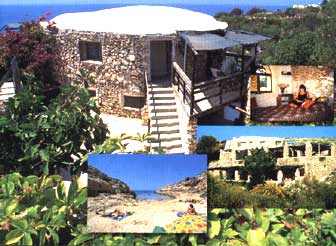   IG9U CQ WW DX CW Contest 2009 DX 